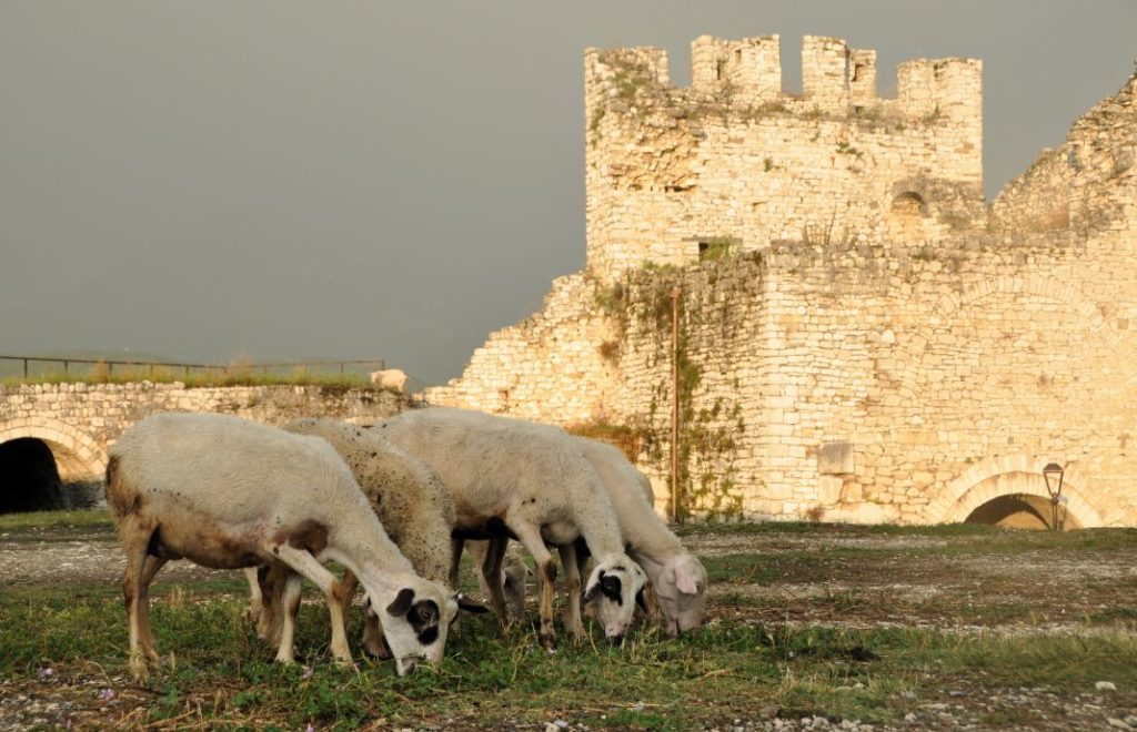 Berat, en av de eldste byene i Albania
