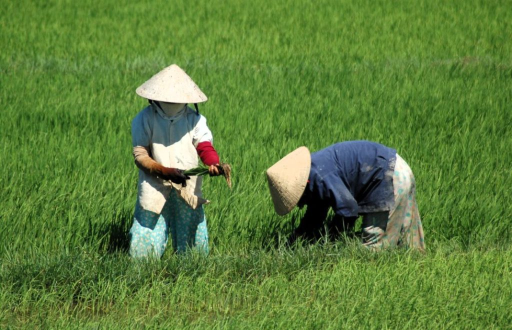 Vietnam har så mye å by på