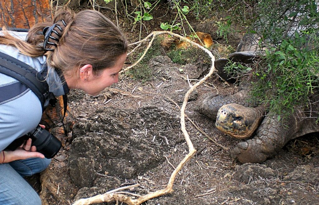 Selve selve symbolet på Galapagos