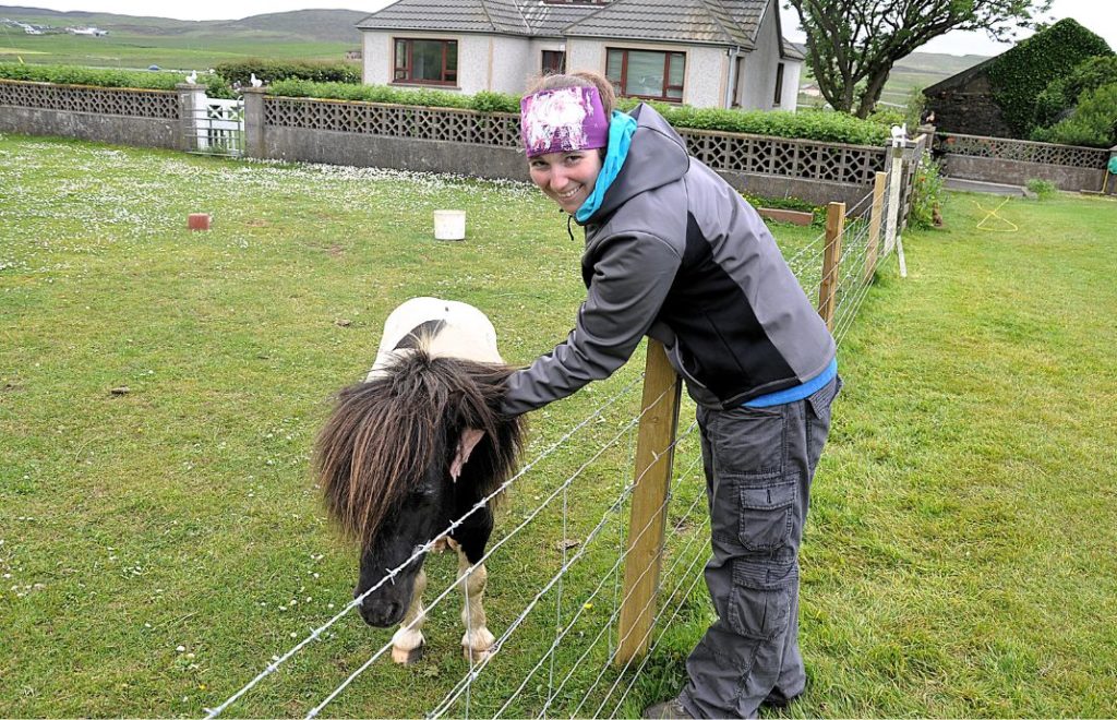 Kos kos med shetlandsponnien