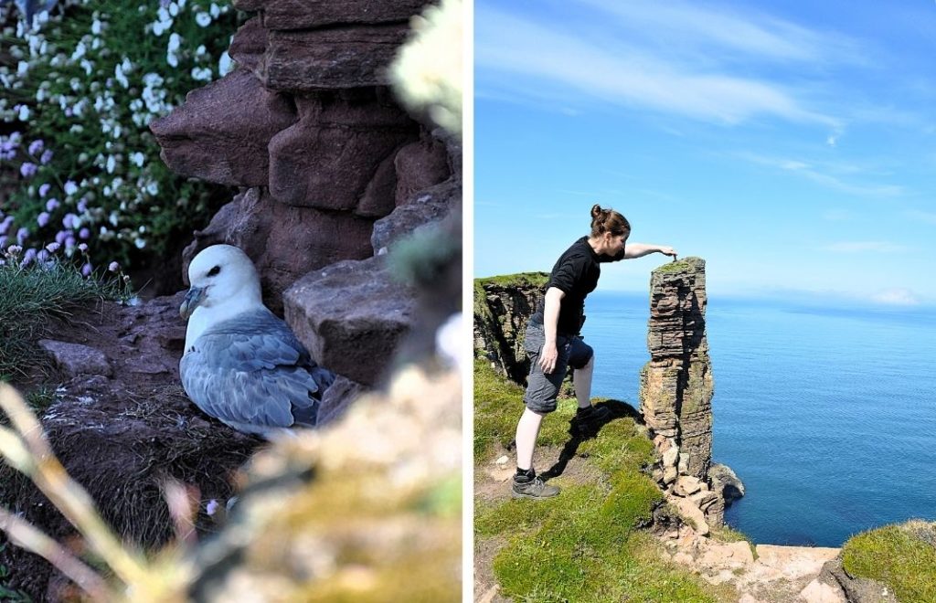 Old Man of Hoy er en 137 meter høy staur av rød sandstein