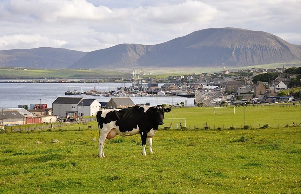 Herlige lille Stromness