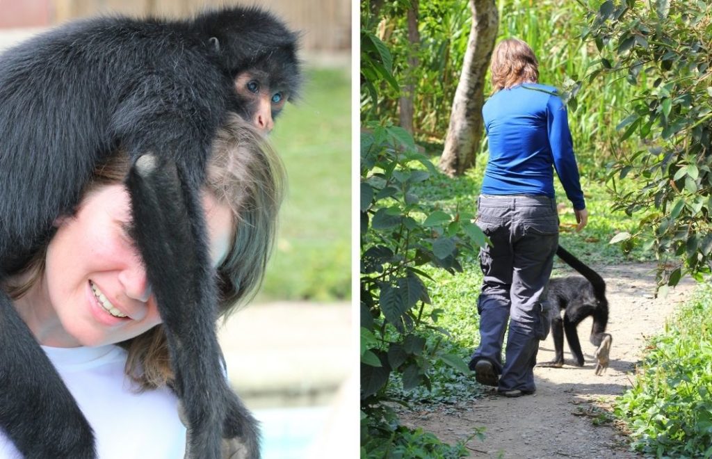Fantastiske La Senda Verde Animal Rescue i Bolivia