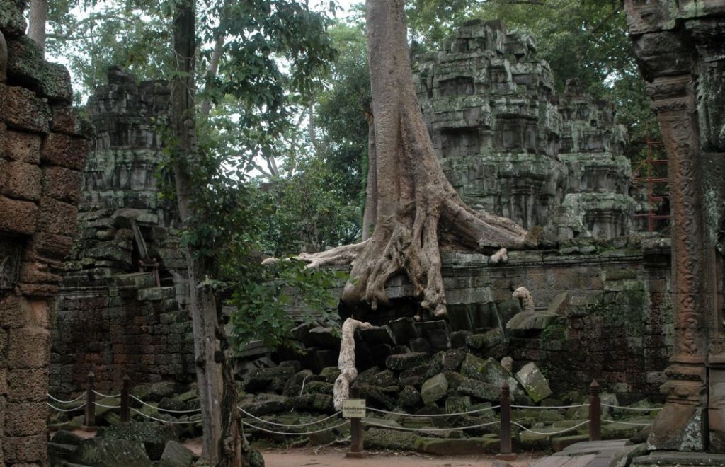 Ta Phrom - hvor jungelen har overtatt