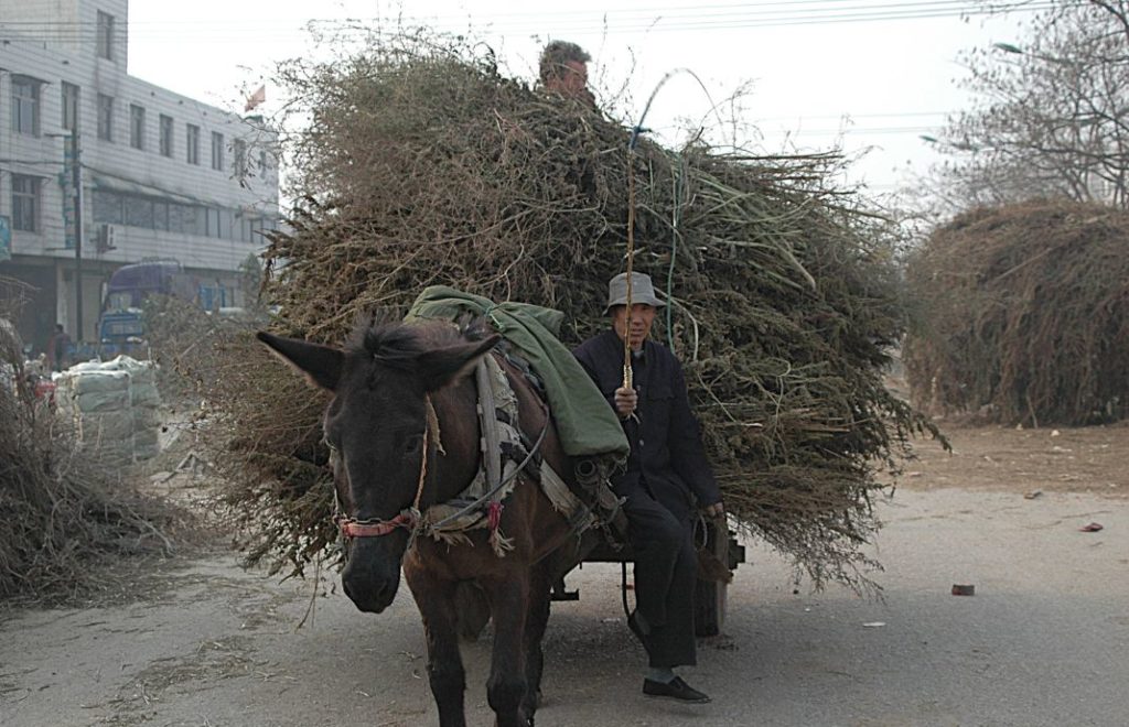 I Baoding reiser du tilbake i tid