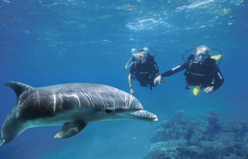 Fantastiske opplevelser under havoverflaten venter i Eilat.