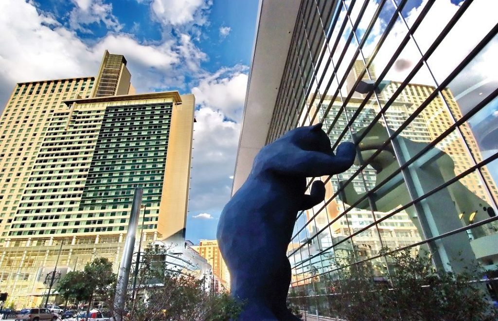 Blue Bear i Denver