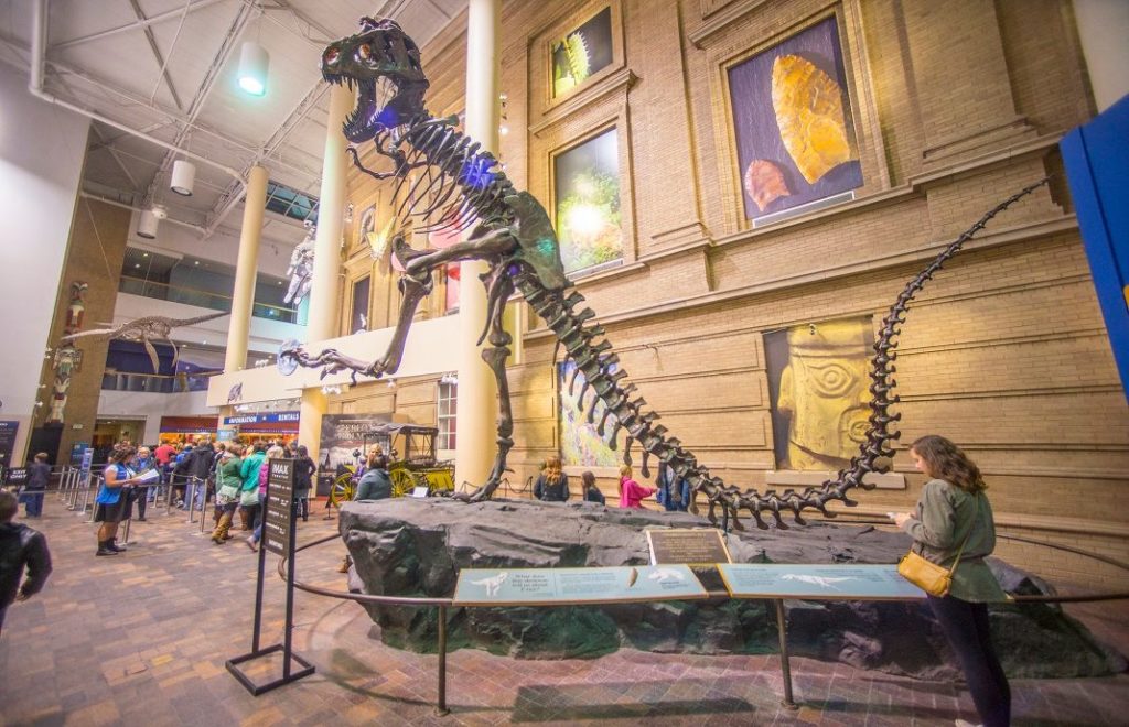 Dinosaur på Denver Museum of Nature & Science