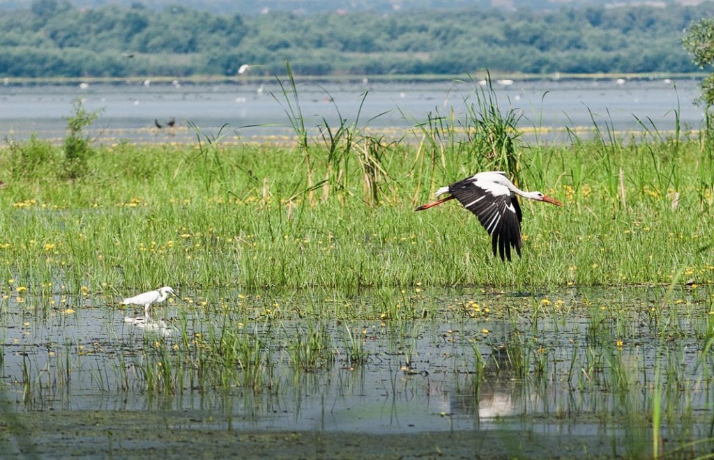 Opplev den vakre naturen i Moldova.