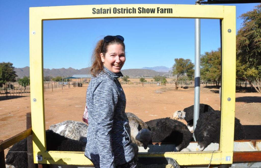 På Safari Ostrich Farm kan du mate strutsene