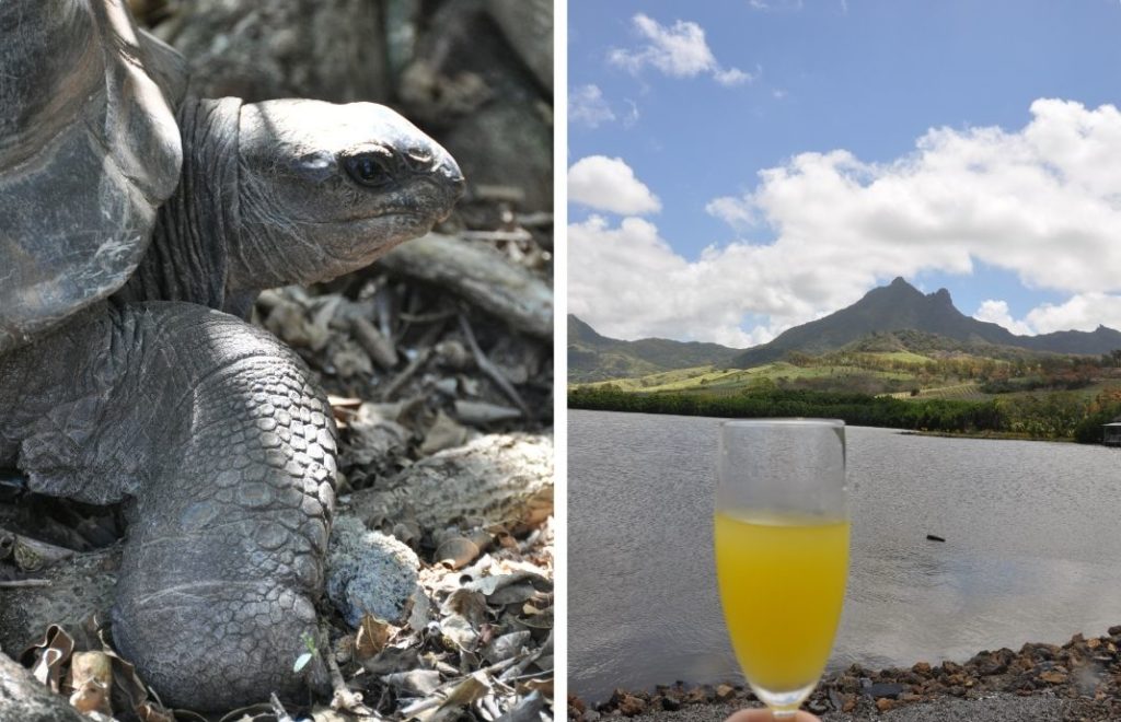 Mauritius 