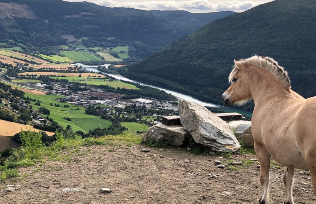 Gudbrandsdalsvegen
