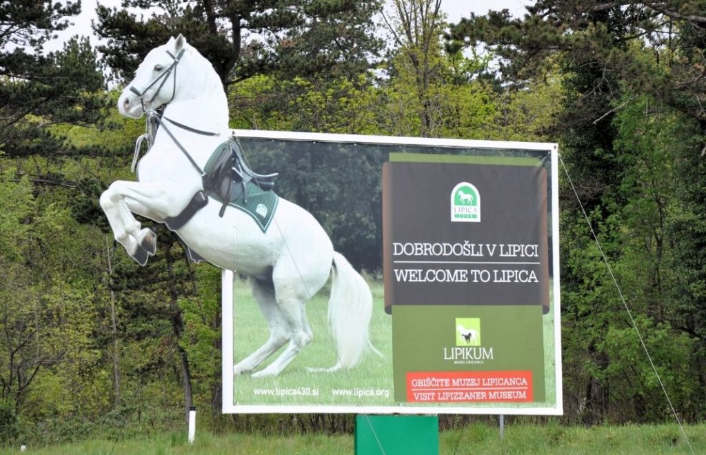 Lipica Stud Farm i Slovenia
