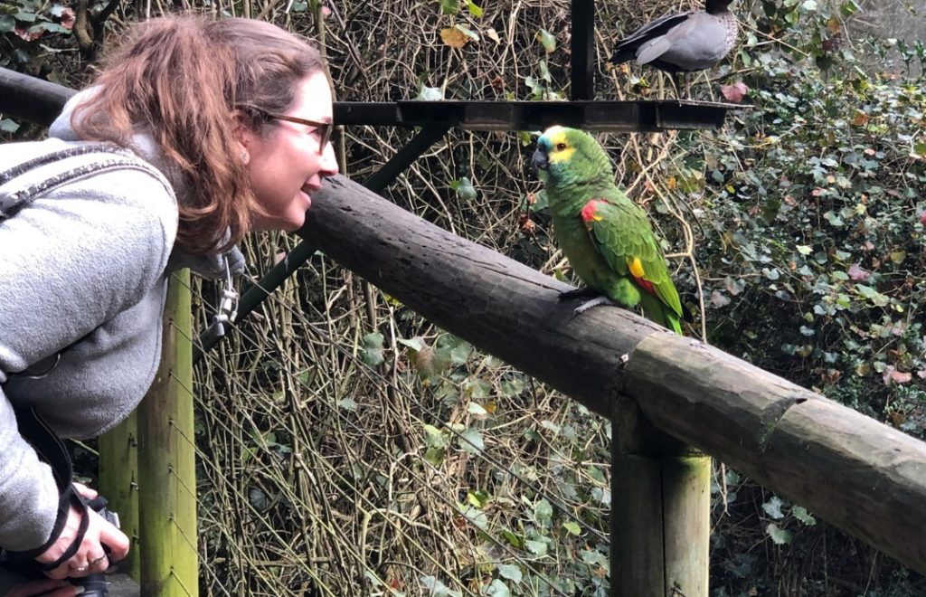 Besøket i Birds of Eden tar deg tett på fuglene