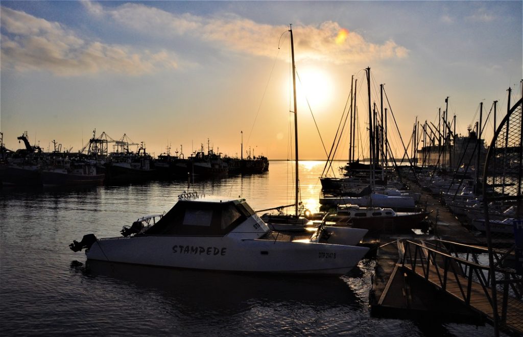 Tidlig morgen i Port Elizabeth