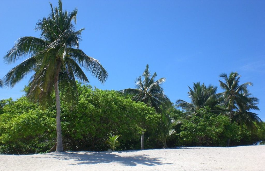 Turtle Island, Borneo