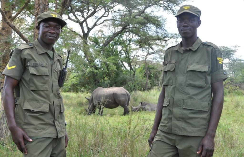 Viltvoktere i Ziwa Rhino Sanctuary