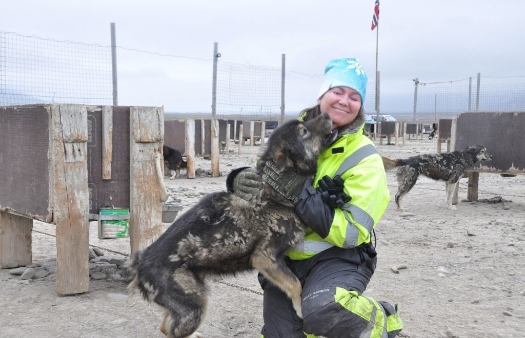Kosetid Hos Green Dog Svalbard