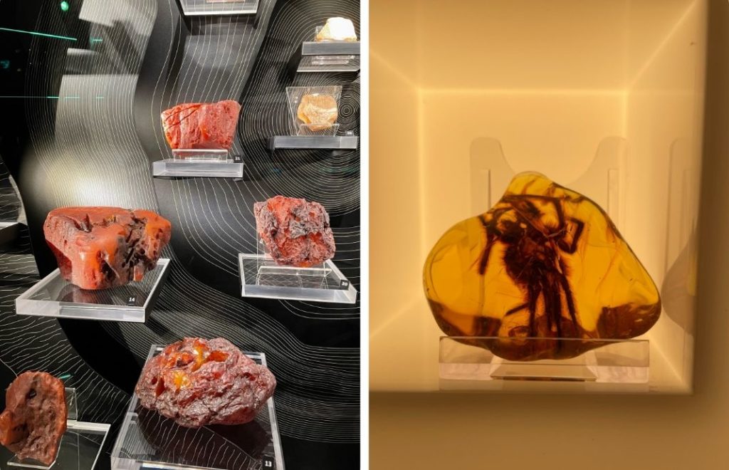 Utstillinger av rav på Museum of Amber. 