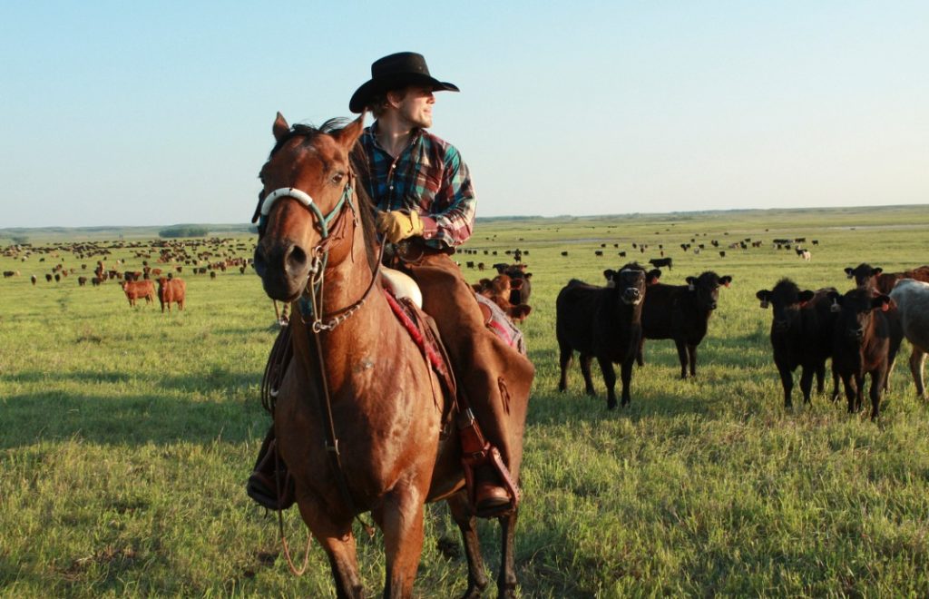 No på en ekte ranch i North Dakota.