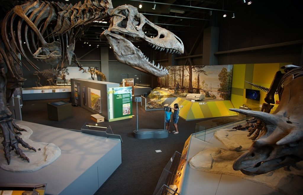 For millioner år siden hersket dinosaurene i North Dakota.