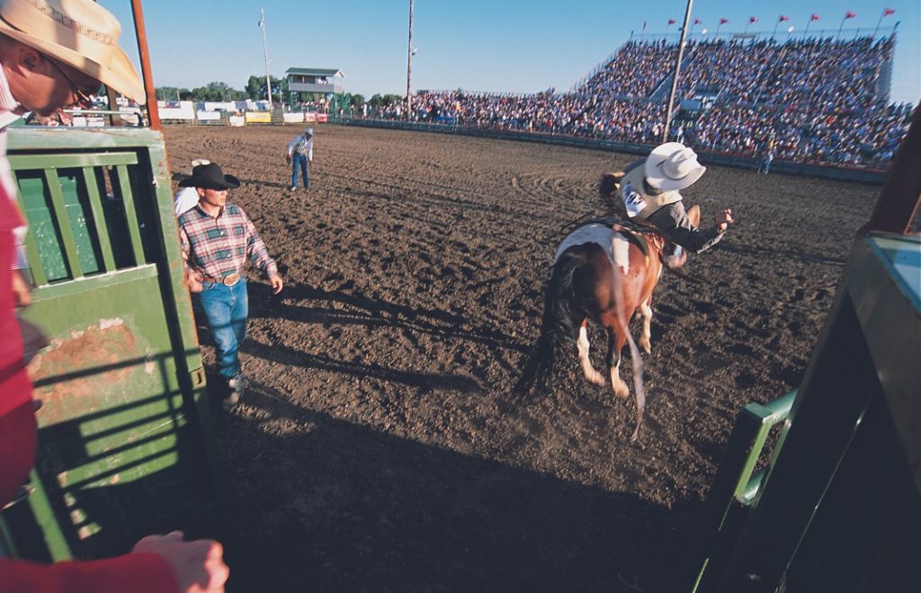 Finn din indre cowboy – eller cowgirl – i North Dakota!