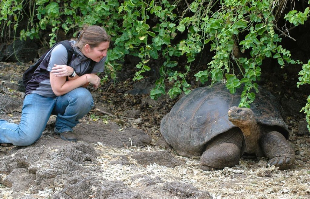 Dyrene på Galapagosøyene er så uredd mennesker at de faktisk oppsøker deg. 
