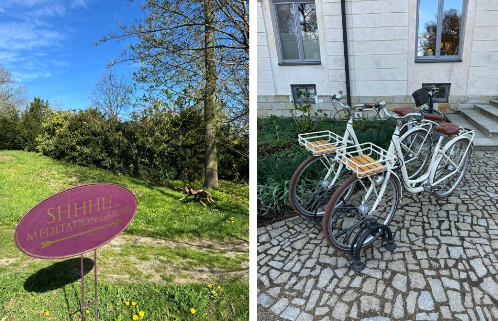 Hagen på Chateau Mcely