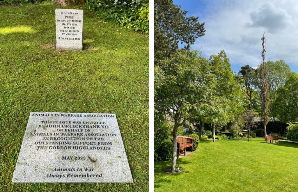 Hagen på The Gordon Highlanders Museum
