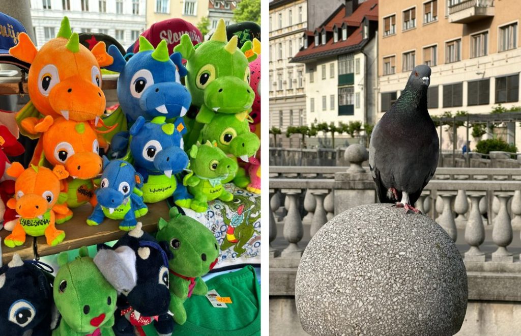 Drager og duer i Ljubljana, Slovenia
