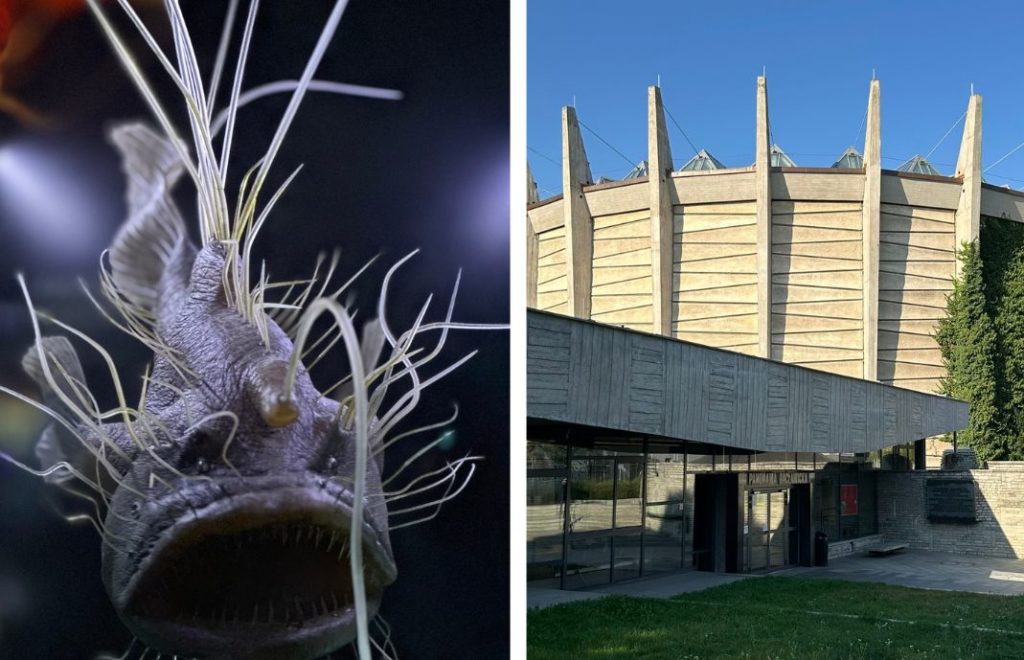 Wroclaw er hjem til en rekke spennende og interessante museer