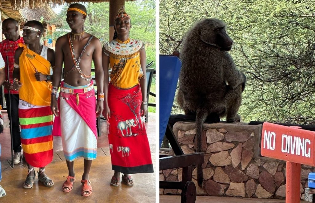 På Samburu Sopa Lodge ønskes du velkommen av medlemmer av Samburu-folket og bavianer. 